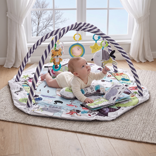 Baby Play Gym Mat with Arch and 6 Sensory Toys